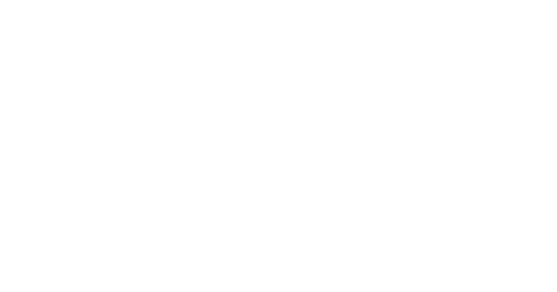 POL Opticlogo image